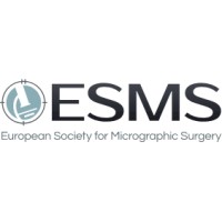 ESMS logo - Similar company to Cap Partner