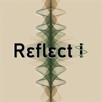 Reflect Inspection Services Pty Ltd logo - Similar company to Ground Zero Service Locating And Concrete Scanning