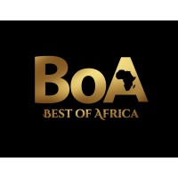 Best of Africa Awards logo - Similar company to Levls