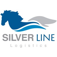 Silver Line Logistics Co., Ltd. logo - Similar company to Profreight Group