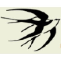 Entrepreneurial Freelance Teachers