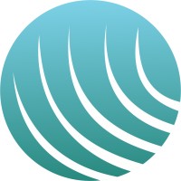 Arsenius Skill Capital logo - Similar company to C. Dedhia & Co.
