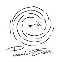 Peaceful Evolution Consulting logo - Similar company to Samuh