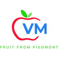 VM Marketing S.r.l logo - Similar company to Talea Creativa