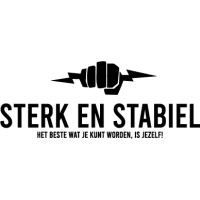 Sterk en stabiel logo - Similar company to Phase 2 System