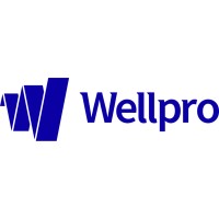 WellPro Impact Solutions Oy logo - Similar company to Vera Analytics