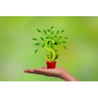 Roras ESG Consulting logo - Similar company to C4C & Associates