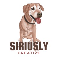 Siriusly Creative logo - Similar company to Dc Cybertech