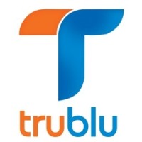 Trublu Consulting logo - Similar company to Trans-Consult