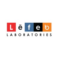 Lefeb Lab logo - Similar company to Profitator (Kokoc Group)