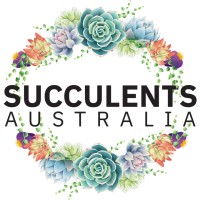 Succulents Australia