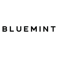 BLUEMINT logo - Similar company to X Studio