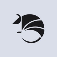 Broxus logo - Similar company to Everscale