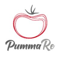PummaRe logo - Similar company to Cosmec Srl