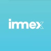 Immex Group logo - Similar company to Immex