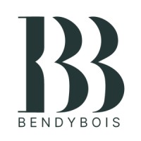 Bendy Bois logo - Similar company to Vector Lab