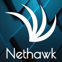 Nethawk Pvt Ltd logo - Similar company to D Soft Solutions  Pvt Ltd
