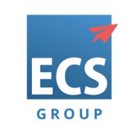 The ECS Group | Setting the Standard logo - Similar company to Ecs Automotive | Setting The Standard
