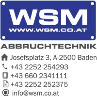 WSM Demolition and Mining Equipment logo - Similar company to Ciweld