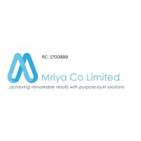 Mriya Co Limited (Mriya AV) logo - Similar company to Interstate Audio B.V.