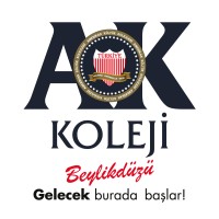 Beylikdüzü Amerikan Kültür Koleji logo - Similar company to Özel Beylikdüzü Aydınlar Koleji
