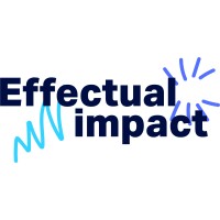 Effectual Impact logo - Similar company to Webpulser