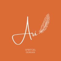 Ari Cyrstal logo - Similar company to Cnt Consulting