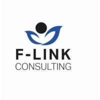 Flink consulting logo - Similar company to Fm Informatique