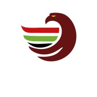 Altair Consulting India logo - Similar company to Jy Autotech
