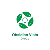 Obsidian Vista Group logo - Similar company to Deepdatadrift