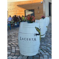 Lacerta Winery Switzerland