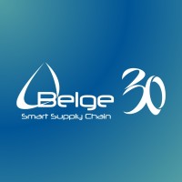 Belge Consultoría logo - Similar company to Belge Engenharia e Sistemas Ltda