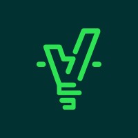 The Viznary logo - Similar company to Sonerg Montaj Srl