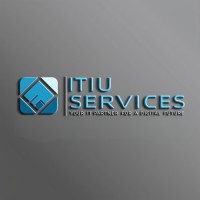 iTiu Services logo - Similar company to Glassgalaxy
