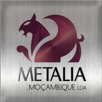 Metalia Moçambique, Lda. logo - Similar company to Erati Solutions Lda