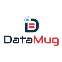DataMug logo - Similar company to All Direction Source Technologies Private Limited