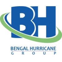 Bengal Hurricane Group logo - Similar company to Sariit