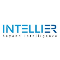 INTELLIER LIMITED logo - Similar company to Team Group