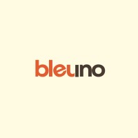 Bleuno logo - Similar company to Cloudesk