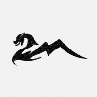 Lóng Capital Management logo - Similar company to Waffle