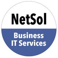 NetSol Co., Ltd. logo - Similar company to Prospec Ndt Resources