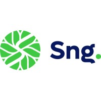 Synergein do Brasil logo - Similar company to Ingeniumpro