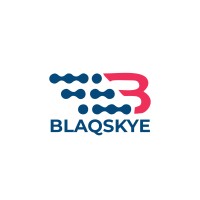 Blaqskye International logo - Similar company to Sysview Mega Projects