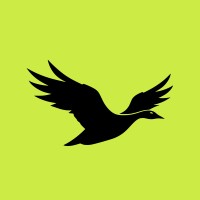 aerogoose