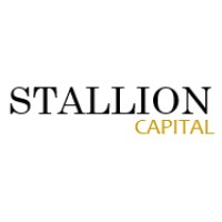Stallion Capital logo - Similar company to Digital Intellect
