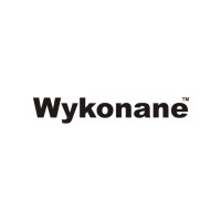 Wykonane logo - Similar company to Statement Denim