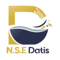 N.S.E Datis