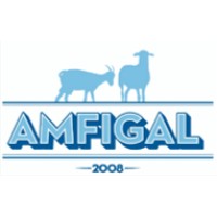 AMFIGAL S.A. logo - Similar company to Inbudget.Gr