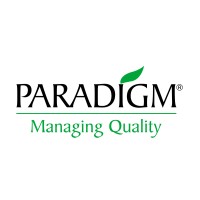 PARADIGM Services Private Limited logo - Similar company to Paradigm Engineering Solutions
