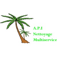 API NETTOYAGE logo - Similar company to Worknett